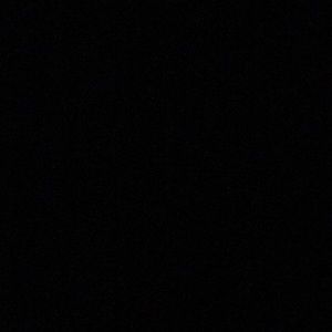 Meet your Posher, Jonah